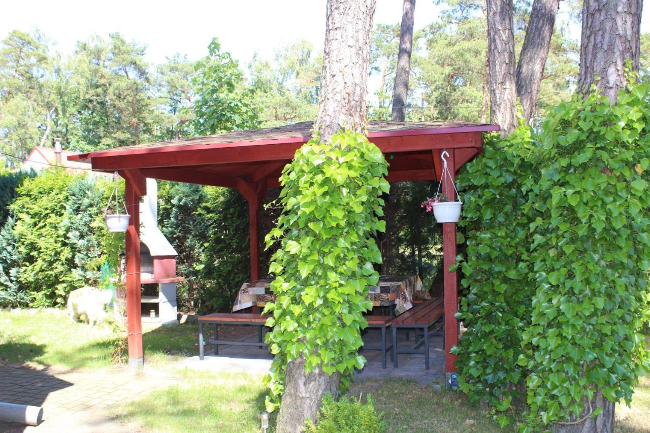 Dom Pod Sosnami Bed and Breakfast Mielno  Exteriör bild